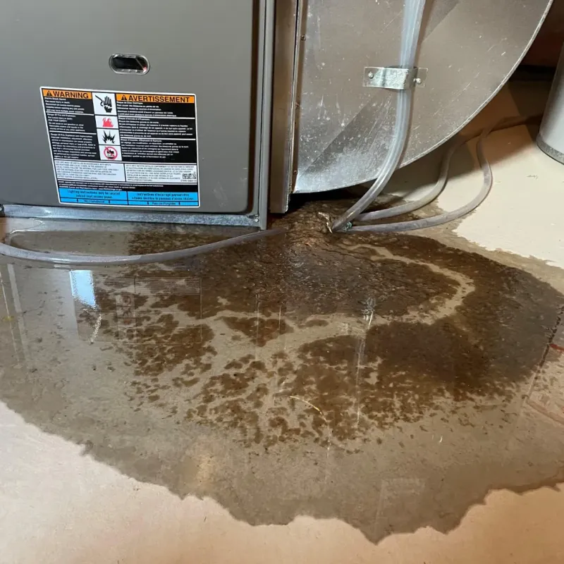 Appliance Leak Cleanup in West Terre Haute, IN